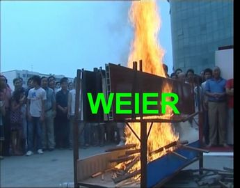 Chaîne de production en plastique en bois de panneau du composé WPC, certificat SJSZ-92/188 de la CE